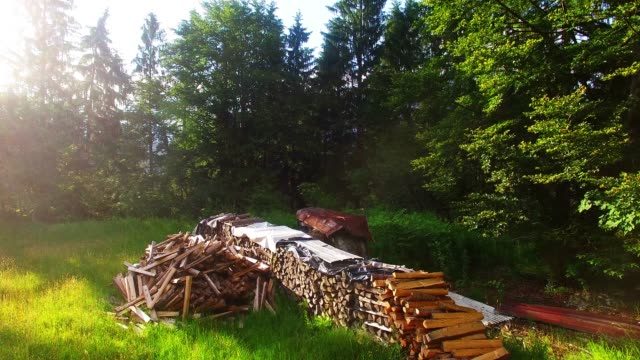 Ein-Stapel-Brennholz-im-alpinen-Wald.-Kamera-Flug-über-erneuerbare-Energiequelle.