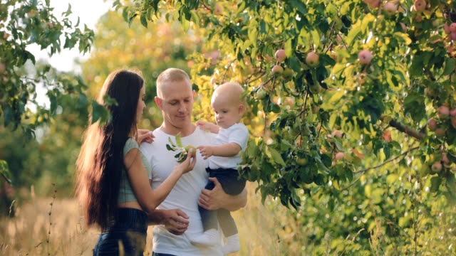 Family-in-apple-orchard.-Happy-young-parents-with-a-child