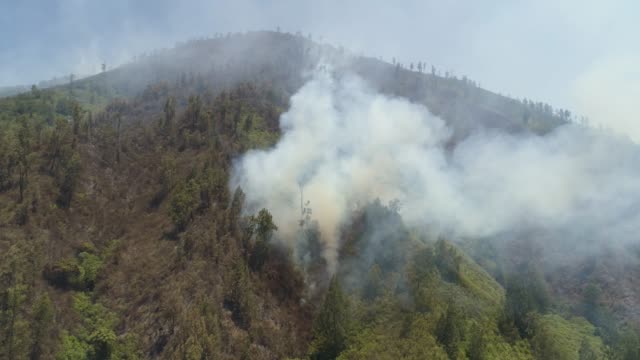 Waldbrand-in-den-Bergen