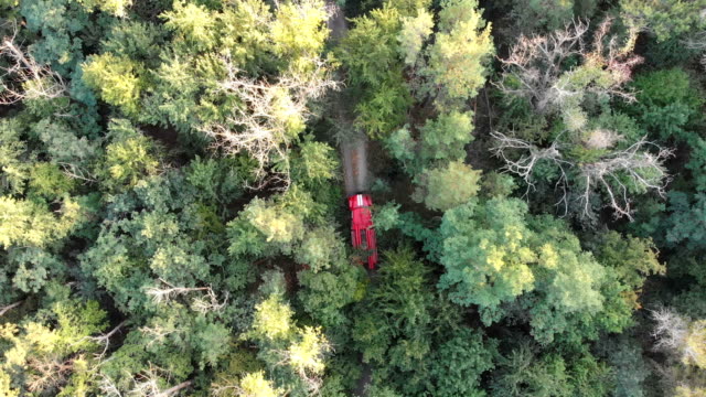 Draufsicht-von-der-Drohne,-die-Red-Fire-Truck-fahren-entlang-der-Straße-in-einem-Kiefernwald