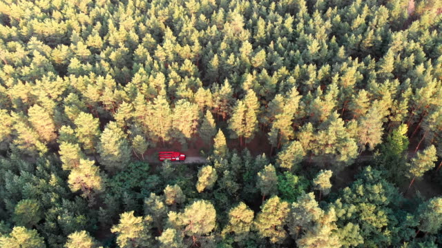 Draufsicht-von-der-Drohne,-die-Red-Fire-Truck-fahren-entlang-der-Straße-in-einem-Kiefernwald