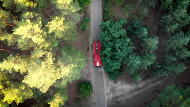 Draufsicht-von-der-Drohne-auf-das-rote-Feuer-LKW-fahren-entlang-der-Straße-in-einem-Kiefernwald