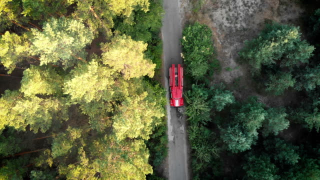 Draufsicht-von-der-Drohne-auf-das-rote-Feuer-LKW-fahren-entlang-der-Straße-in-einem-Kiefernwald