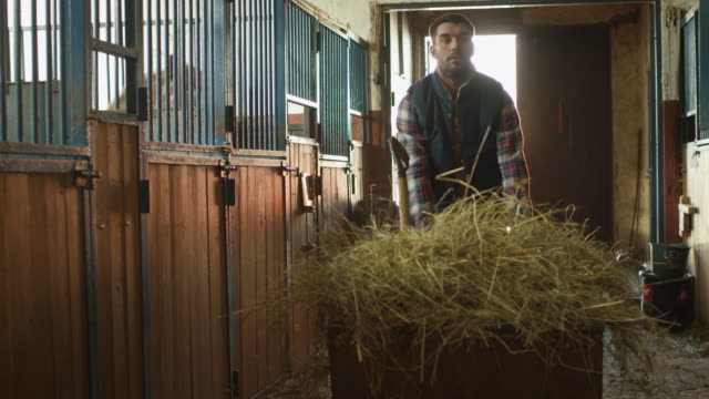 Man-is-rolling-a-cart-with-hay-into-a-stable-in-order-to-feed-horses.