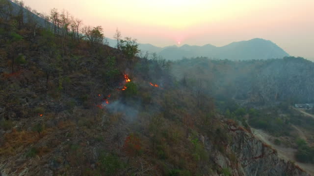 Wildfire-on-the-mountain-until-morning