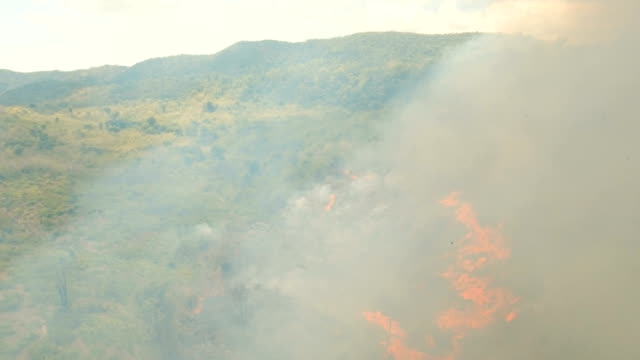 Luftbild-Waldbrand.-Busuanga,-Palawan,-Philippinen