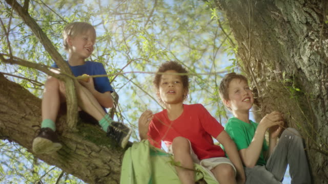 Drei-kleine-Jungs-sitzen-auf-einem-Baum-einen-Apfel-essen