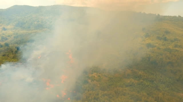 Aerial-view-Forest-fire.-Busuanga,-Palawan,-Philippines