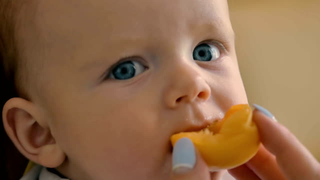 Porträt-von-entzückenden-kleinen-Jungen-ist-die-Aprikose-Essen.