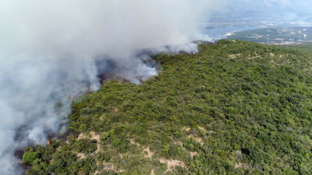 Luftaufnahme-der-brennende-Büsche-in-den-Hügeln