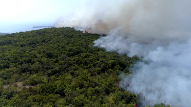 aerial-view-of-burning-bushes-in-the-hills