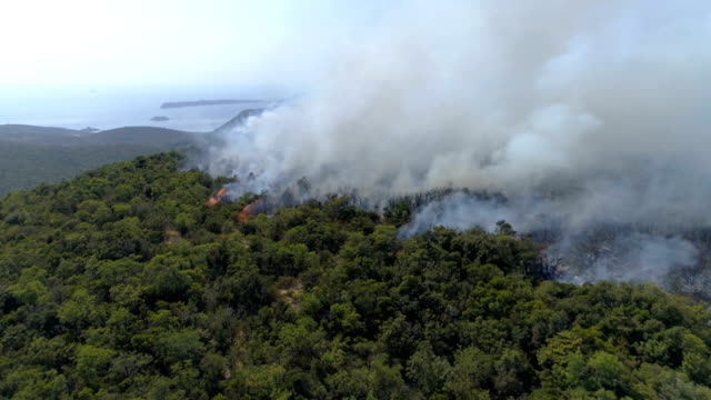 aerial-view-of-burning-bushes-in-the-hills