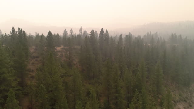 Luftaufnahmen-von-Wildfire-Rauch-im-östlichen-Washington-Wald