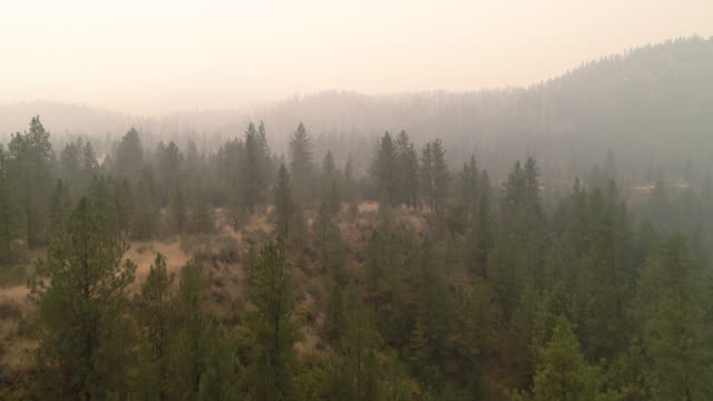 Drohne-fliegen-in-Wildfire-Rauch-von-östlichen-Washington-Waldbrand