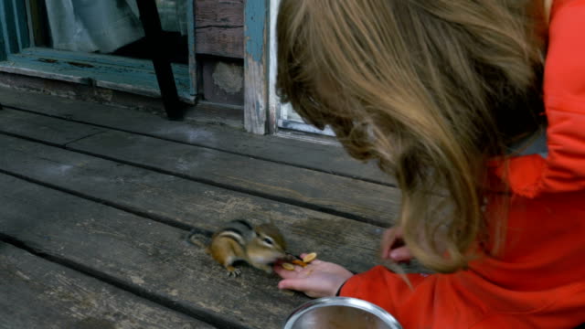 Streifenhörnchen-aus-eines-Mädchens-Hand-Essen