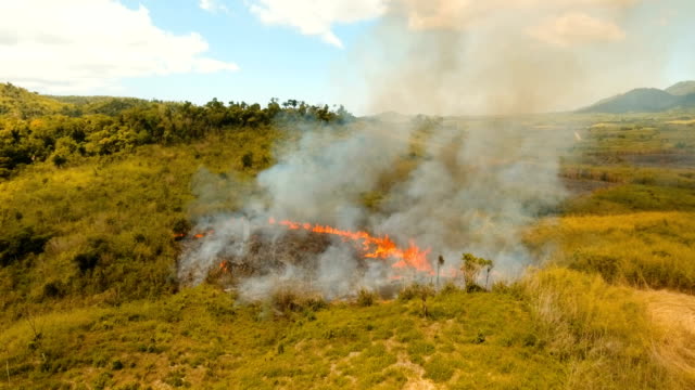 Aerial-view-Forest-fire.-Busuanga,-Palawan,-Philippines