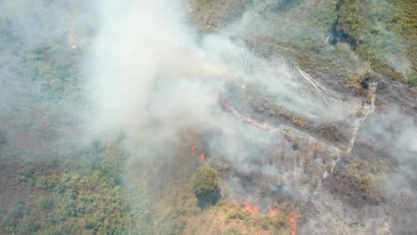 Incendio-forestal-de-vista-aérea.-Isla-de-Jawa,-Indonesia