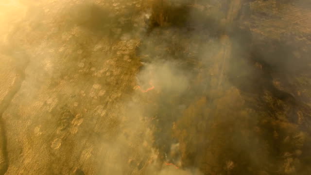 Antena:-Incendios-forestales-de-primavera-de-en-tiempo-de-seca