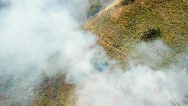 Luftbild-Waldbrand.-Jawa-Island,-Indonesien