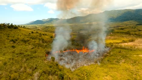 Aerial-view-Forest-fire.-Busuanga,-Palawan,-Philippines