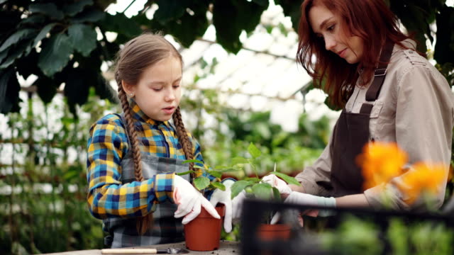 Parent-and-child-in-aprons-are-cultivating-soil-in-plant-pots-with-gardening-tools-and-talking.-Happy-people,-agriculture,-family-business-and-hobby-concept.