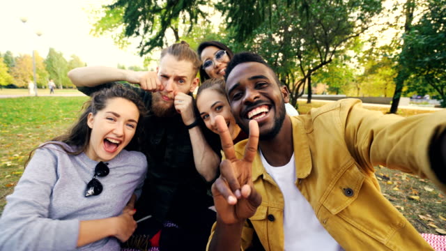 Multiracial-group-of-friends-is-taking-selfie-in-park-sitting-on-blanket,-posing-and-looking-at-camera.-African-American-young-man-is-holding-device-and-touching-screen.