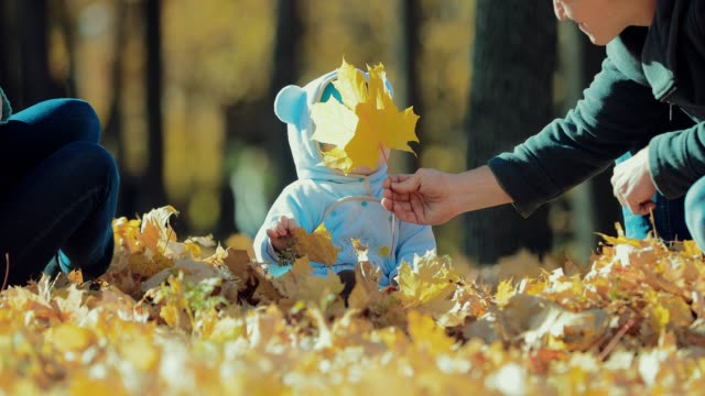 Small-child-sits-in-the-autumn-leaves.-Dad-gives-sniffing-autumn-leaf-to-his-son