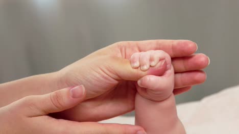 Baby-hält-die-Hand-eines-Erwachsenen-auf-dem-grauen-Hintergrund