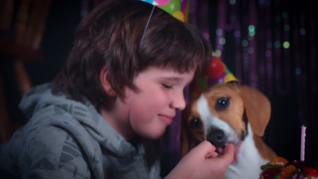 4-k-cumpleaños-Beagle-perro-comiendo-pastel-con-niño