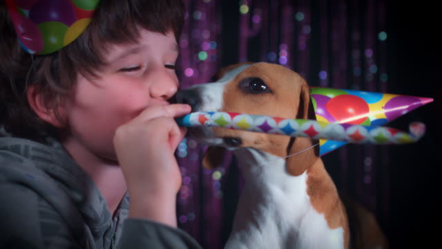 4k-Birthday-Child-and-Dog-Blowing-Whistle