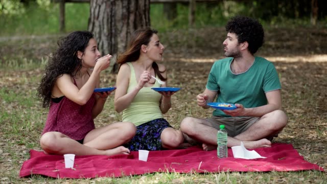 Gruppe-von-Freunden-machen-Picknick-auf-dem-Rasen-im-Park-sitzend