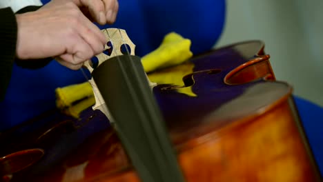 Craftsman-working-in-workshop-lutemaker