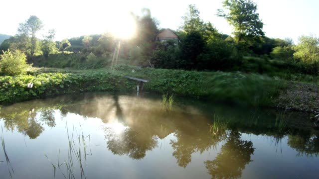 morning-sun,-mountain-artificial-pond-trout,-mountain-cabin