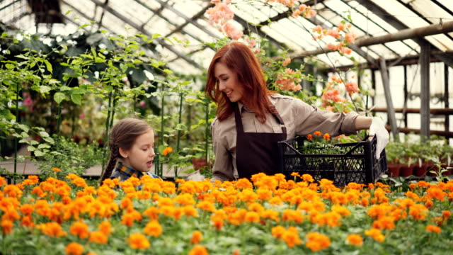 Attractive-female-florist-and-her-cute-daughter-are-putting-pots-with-beautiful-flowers-inside-plastic-container-and-smelling-flowers.-People-and-gardening-concept.