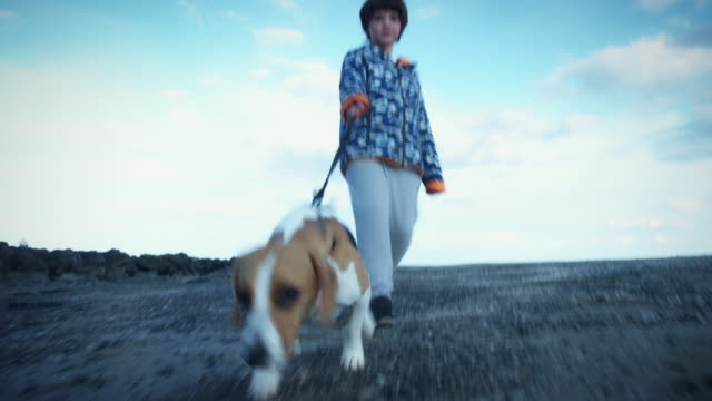 4K-al-aire-libre-playa-niño-y-perro-caminando-a-cámara