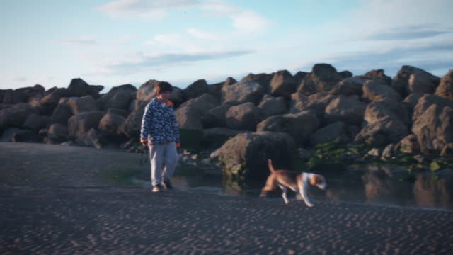 4K-al-aire-libre-playa-niño-y-perro-caminando-en-la-playa