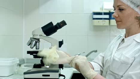 Forscher-setzen-auf-Handschuhe-und-unter-Verwendung-eines-Mikroskops-in-einem-Labor