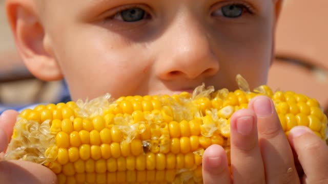Little-hungry-boy-eating-corn-on-the-beach-of-the-sea.-Focus-on-the-boiled-corn.-Close-up.