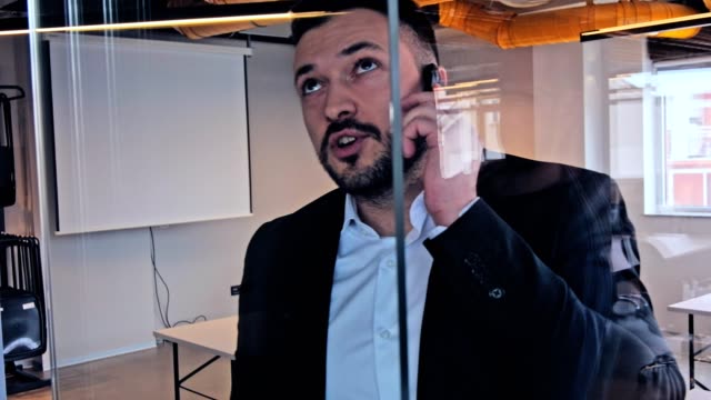Manager-Ernst-am-Telefon-sprechen