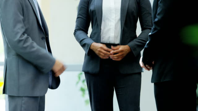 Multi-ethnic-male-female-finance-executive-business-meeting