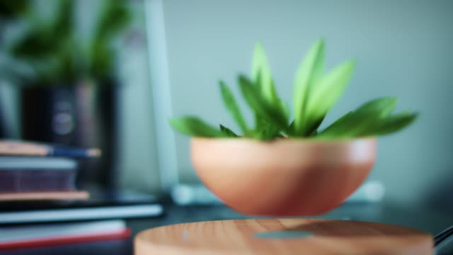 4K-Levitation-Device-with-Plant-in-Corporate-Office