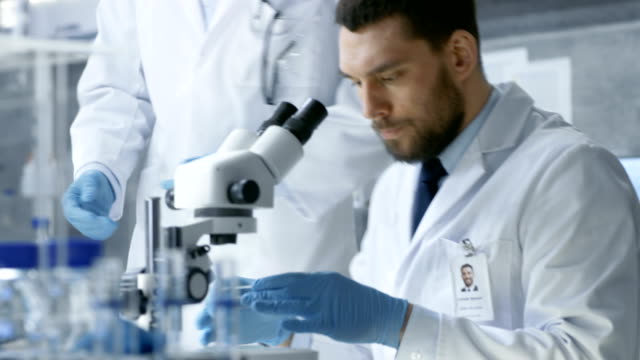 En-un-moderno-laboratorio-asistente-trae-placa-de-Petri-al-jefe-investigador-que-comienza-examinando-dado-muestra-bajo-microscopio.