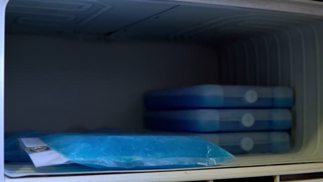 Ice-packs-in-the-freezer.