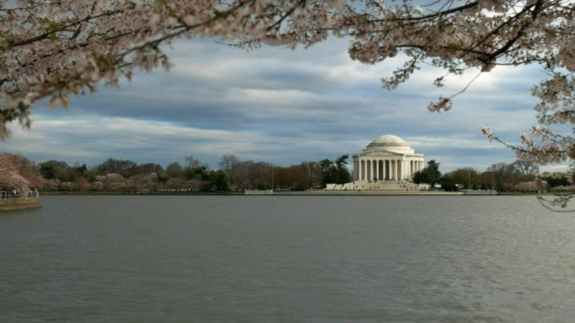 evening-shot-of-the-jefferson-memorial-and-cherry-trees-in-blossom