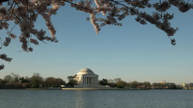 mittlere-Winkel-Schuss-von-Jefferson-Memorial-mit-Kirschblüten-im-Frühling