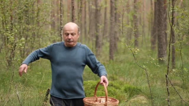 Senior-man-walking-and-picking-mushrooms-in-forest.-Suddenly-he-falls-down-because-of-leg-injury