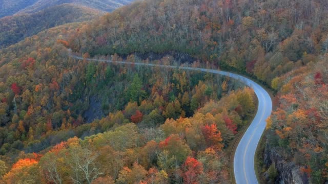 Vista-aérea-del-abejón-de-otoño-/-otoño-hoja-follaje-215-de-la-carretera-desde-arriba.-Colores-amarillo,-naranjas-y-rojos-vibrante-en-Asheville,-Carolina-del-norte-en-las-montañas-Blue-ridge.