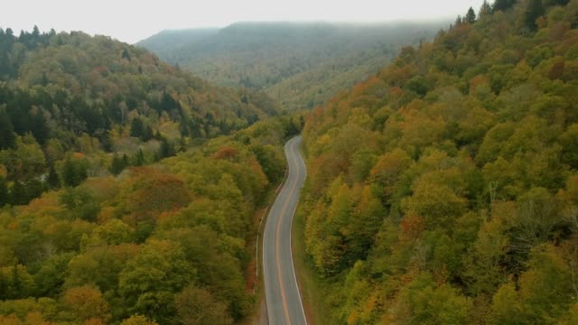 Vista-aérea-del-abejón-de-otoño-/-otoño-hoja-follaje-en-un-Appalachian-Mountain-Road.-Colores-amarillo,-naranjas-y-rojos-vibrante-en-Asheville,-Carolina-del-norte-en-las-montañas-Blue-ridge.