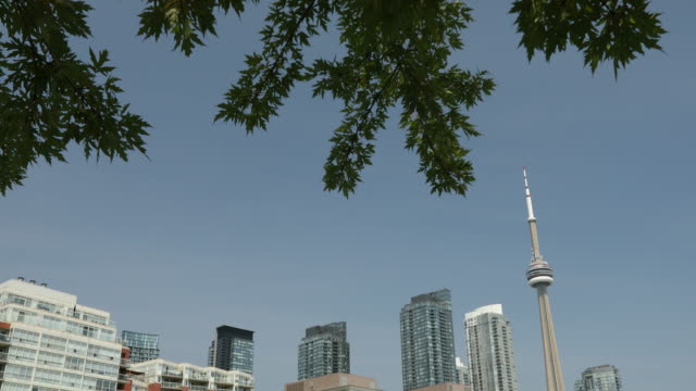 Vista-del-centro-de-la-ciudad-de-Toronto-Ontario-Canada