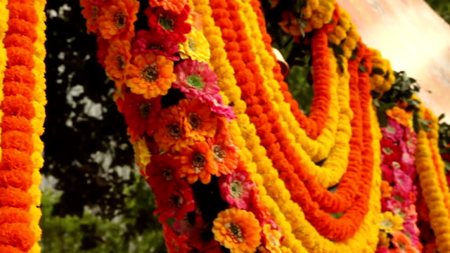 Colgar-Marigolds-en-Calcuta,-India